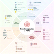 Graphical abstract: Nanomedicine breakthroughs overcoming pancreatic cancer drug resistance through precision nano-interventions