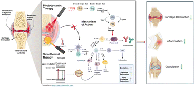 Graphical abstract: Targeted nanocarriers integrating photodynamic and photothermal therapy: a paradigm shift in rheumatoid arthritis treatment
