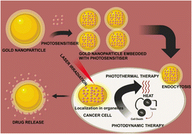 Graphical abstract: Recent advances in gold nanoparticle-based targeted photodynamic and photothermal cancer therapy