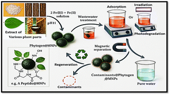 Graphical abstract: Magnetically driven, plant-extract-modified Fe3O4 nanoparticles for sustainable and eco-friendly wastewater detoxification: recent developments