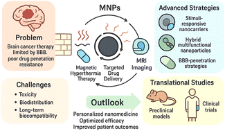 Graphical abstract: Targeting brain tumours with precision: advances in magnetic nanoparticle therapy