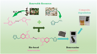 Graphical abstract: Preparation and properties of bio-based degradable polybenzoxazines containing dihydrazone-based dynamic bonds