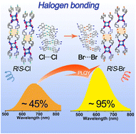 Graphical abstract: Near-unity room-temperature phosphorescence quantum yield induced by halogen–halogen interaction in chiral hybrid copper(i) iodide clusters
