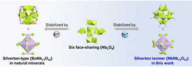 Graphical abstract: Polyoxoniobates with the long-sought feature of face-sharing octahedra stabilized by Te(iv): a synthetic analogue of natural minerals