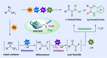 Graphical abstract: Triple C–F bond functionalization via an orderly elimination–oxidation–substitution relay reaction