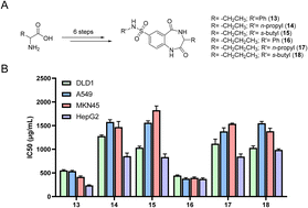 Graphical abstract: Effective synthesis of benzodiazepine sulfonamide-based MGAT2 inhibitors and evaluation of their antitumor activity