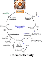 Graphical abstract: Mechanistic insights into base-free nickel-catalyzed Suzuki–Miyaura cross-coupling of acid fluoride and the origin of chemoselectivity: a DFT study