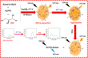 Graphical abstract: Dithioerythritol-capped silver/gold nanoclusters for determination of ciprofloxacin, norfloxacin, and enrofloxacin in food and urine samples