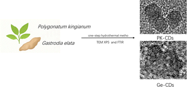 Graphical abstract: Multifunctional carbon dots from Polygonatum kingianum and Gastrodia elata: synthesis, characterization, and biomedical applications