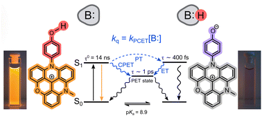 Graphical abstract: Dynamic proton coupled electron transfer quenching as a sensing modality in fluorescent probes