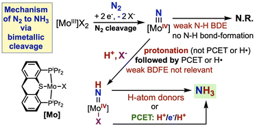 Graphical abstract: Dinitrogen reduction to ammonia with a pincer-Mo complex: new insights into the mechanism of nitride-to-ammonia conversion