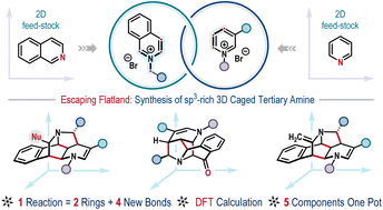 Graphical abstract: Transforming 2D azolium salts to 3D caged tertiary amines via stereoselective dearomative cascade annulation