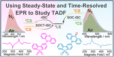 Graphical abstract: Study of the thermally-activated delayed fluorescence (TADF) mechanism of phenothiazine–dibenzothiophene-S,S-dioxide electron donor–acceptor dyads using steady-state and time-resolved optical and electron paramagnetic resonance spectroscopies
