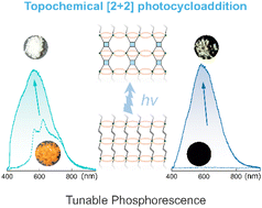 Graphical abstract: Topochemical photocycloaddition in two-dimensional lead-halide coordination polymers with tunable phosphorescence