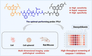 Graphical abstract: Design and optimization of caspase-1-responsive fluorescent probes for pyroptosis imaging and anti-pyroptosis drug screening