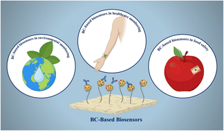 Graphical abstract: Bacterial cellulose: a sustainable nanostructured polymer for biosensor development