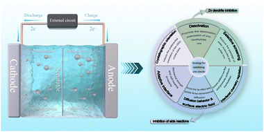 Graphical abstract: Advancing aqueous zinc-ion batteries through polymer interface engineering: from mechanisms to applications