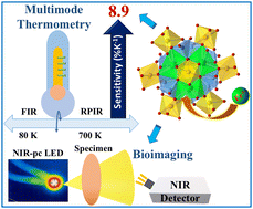 Graphical abstract: Channelling Er3+-activated vanadate garnet's multimode luminescence for high-sensitivity optical thermometers and NIR-II pc-LEDs for bioimaging