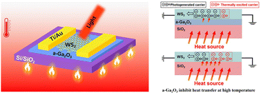 Graphical abstract: Devising an advanced WS2/a-Ga2O3 photodetector for high-temperature operation