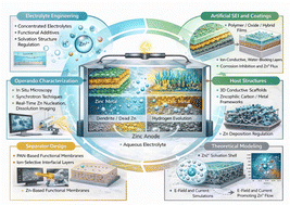 Graphical abstract: Progress in anode engineering for rechargeable zinc-ion batteries: strategies for dendrite suppression and host architectures