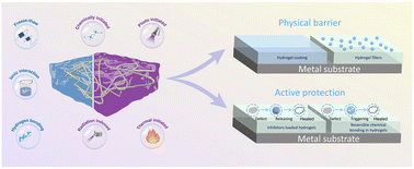 Graphical abstract: Hydrogels as next-generation anti-corrosive coatings: design, mechanisms, and prospects