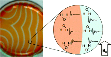 Graphical abstract: Magnetic resonance imaging of chemistry