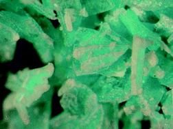 Graphical abstract: Surface nucleation in solid-state dimerisation of nitrosobenzenes promoted by sublimation
