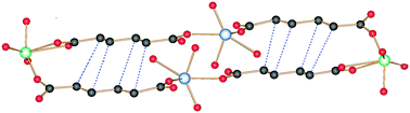 Graphical abstract: 2D and 3D photoreactive lanthanide MOFs of trans,trans-muconic acid