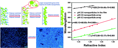 Graphical abstract: Sacrificial polymer thin-film template with tunability to construct high-density Au nanoparticle arrays and their refractive index sensing