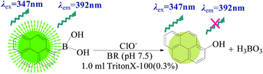 Graphical abstract: Determination of hypochlorite by quenching the fluorescence of 1-pyrenylboronic acid in tap water
