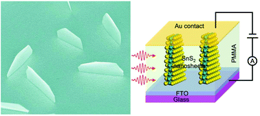 Graphical abstract: Non-planar vertical photodetectors based on free standing two-dimensional SnS2 nanosheets