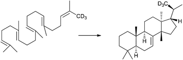 Graphical abstract: Stereochemical investigations of the Tetrahymena cyclase, a model system for euphane/tirucallane biosynthesis