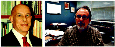 Graphical abstract: The halogen bond: a new avenue in recognition and self-assembly