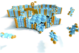 Graphical abstract: Optoelectronic processes in covalent organic frameworks