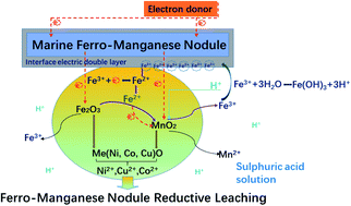 Graphical abstract: The effect of Fe3+ ions on the electrochemical behaviour of ocean manganese nodule reduction leaching in sulphuric acid solution