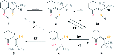 Graphical abstract: Photoinduced and ground state conversions in a cyclic β-thioxoketone