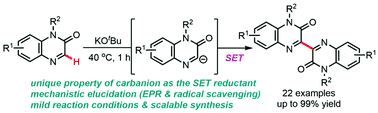 Graphical abstract: KOtBu-promoted C3-homocoupling of quinoxalinones through single electron transfer from an sp2 carbanion intermediate