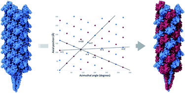 Graphical abstract: Escaping the symmetry trap in helical reconstruction