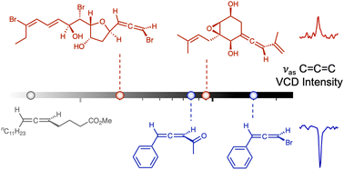 Graphical abstract: Scope and limitations of absolute configuration determination of allenic natural products using the C [[double bond, length as m-dash]] C [[double bond, length as m-dash]] C stretching VCD signal