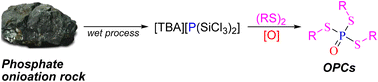 Graphical abstract: Direct synthesis of phosphorotrithioates from [TBA][P(SiCl3)2] and disulfides