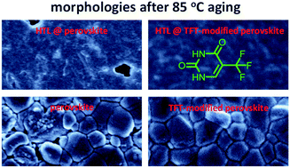 Graphical abstract: A trifluorothymine interlayer reduces the degradation of perovskite and controls the cracks of hole transport layers