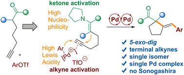 Graphical abstract: Tandem Pd-catalyzed annulation/coupling of acetylenic enamines with aryl triflates