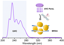 Graphical abstract: Long-persistent far-UVC light emission in Pr3+-doped Sr2P2O7 phosphor for microbial sterilization