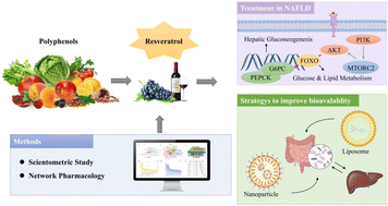 Graphical abstract: Effects of polyphenols on non-alcoholic fatty liver disease: a case study of resveratrol