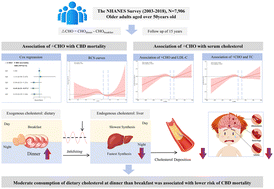 Graphical abstract: Quantity and meal timing of dietary cholesterol intake and cerebrovascular disease mortality