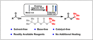 Graphical abstract: Highly efficient synthesis of tert-butyl esters using (Boc)2O under solvent/base-free electromagnetic milling conditions: a new reaction model
