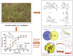 Graphical abstract: Artemdubins A–E from Artemisia dubia var. subdigitata: antihepatoma activity, molecular docking and molecular dynamics studies
