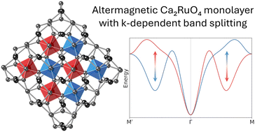 Graphical abstract: Altermagnetism in two-dimensional Ca2RuO4 perovskite