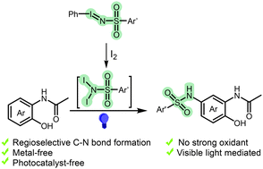 Graphical abstract: Photocatalyst-free regioselective sulfonamidation of N-(2-hydroxyaryl)amides in visible-light