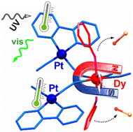 Graphical abstract: Design of DyIII single-molecule magnets with molecularly installed luminescent thermometers based on bridging [PtII(CN)2(C^N)]− complexes